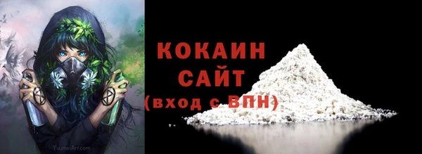 мдпв Козельск
