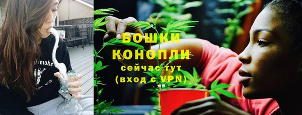 мдпв Козельск