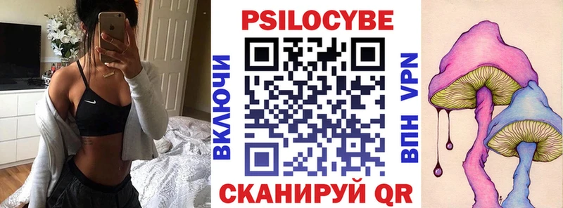 купить наркоту  Петрозаводск  Псилоцибиновые грибы Cubensis 