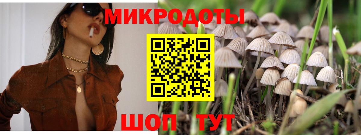 Галлюциногенные грибы мухоморы Петрозаводск